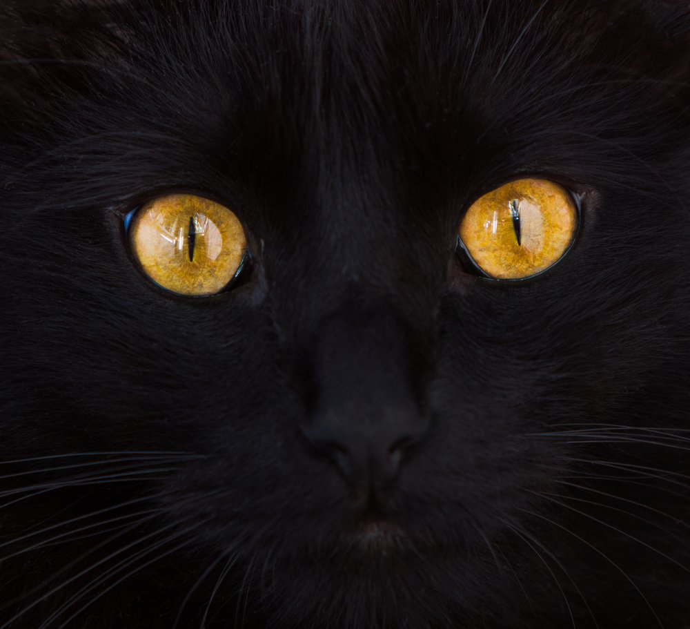 Фотография автора Андрей Серый