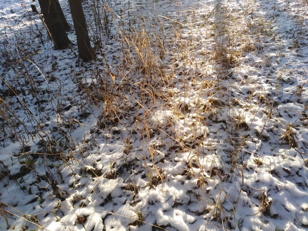 Photograph by Татьяна Ситникова