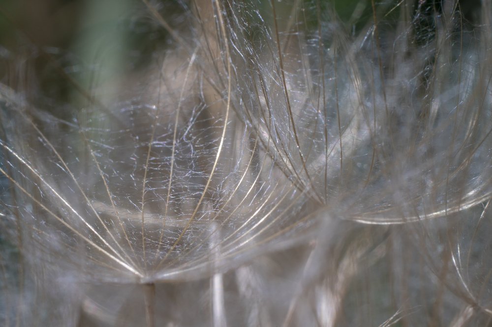 Веточки и сетки