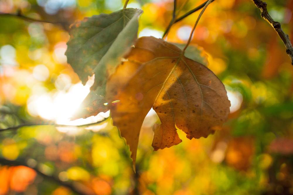 Photograph by Анастасия Киселева