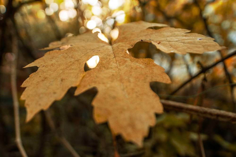 Photograph by Анастасия Киселева
