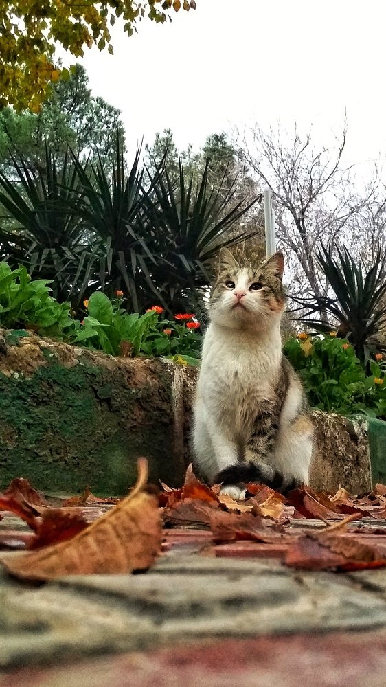 Photograph by Zohre sadat Lajevardi