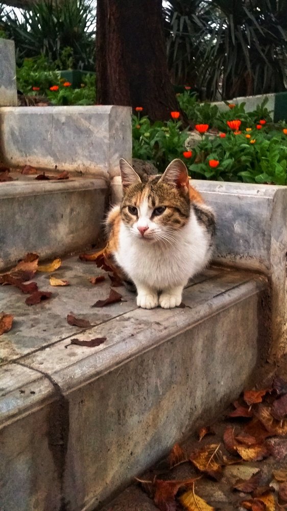 Photograph by Zohre sadat Lajevardi