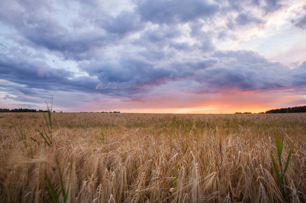 Фотография автора Olesya Taurus
