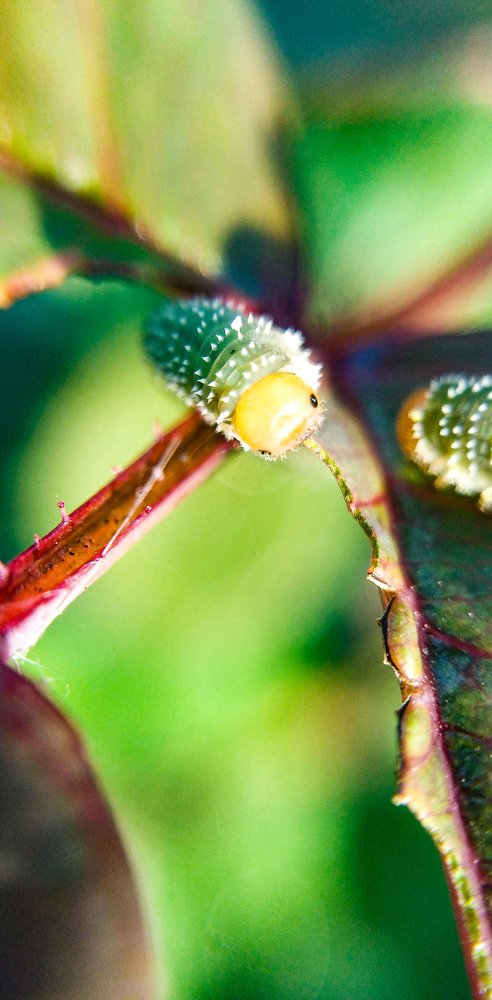 Photograph by Марина Ескова