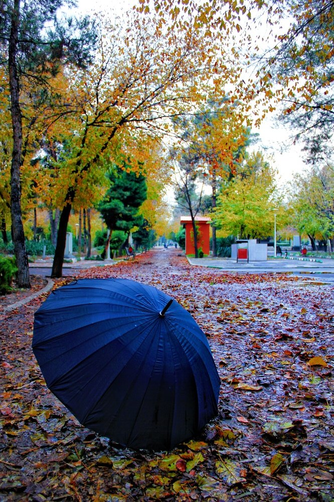 Photograph by Zohre sadat Lajevardi