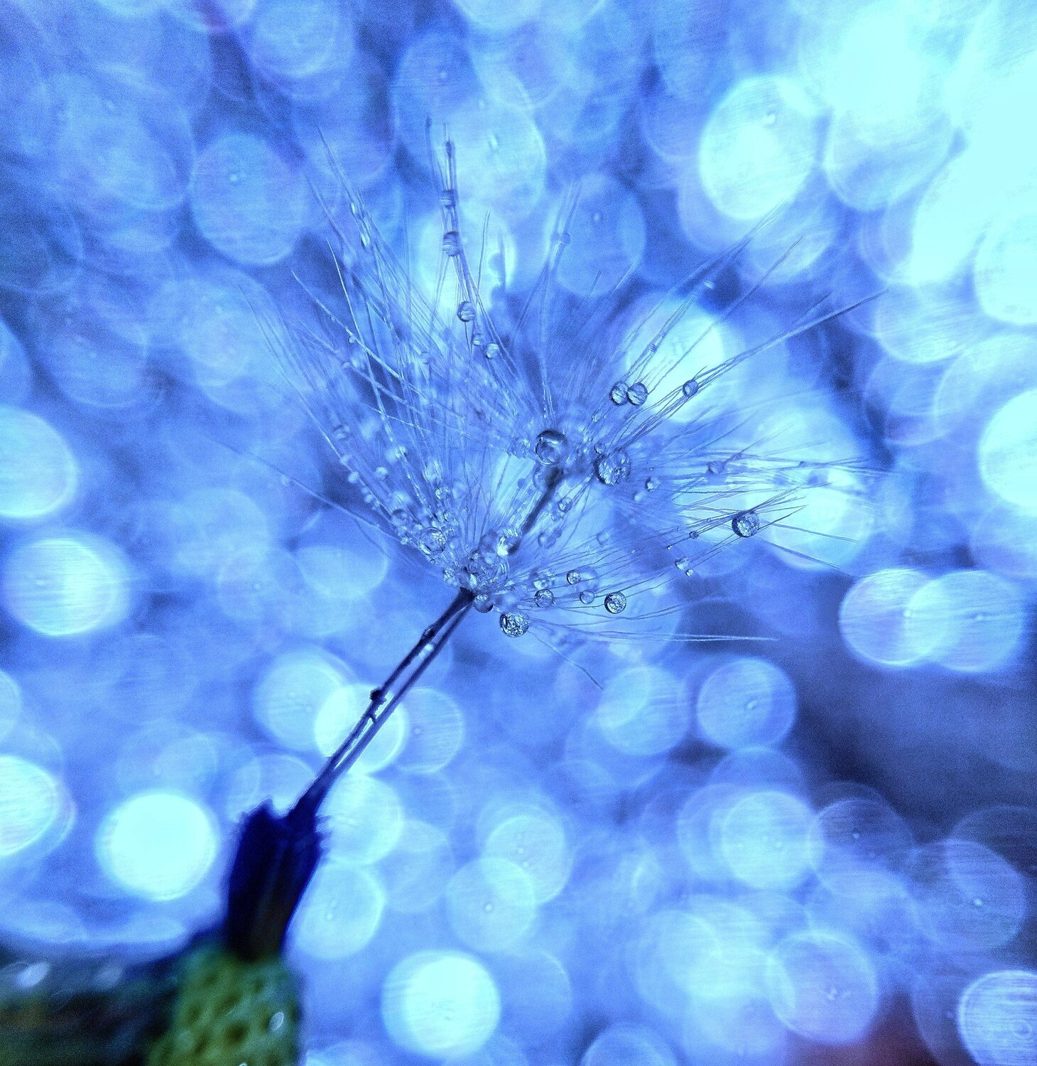 Photo #5338723