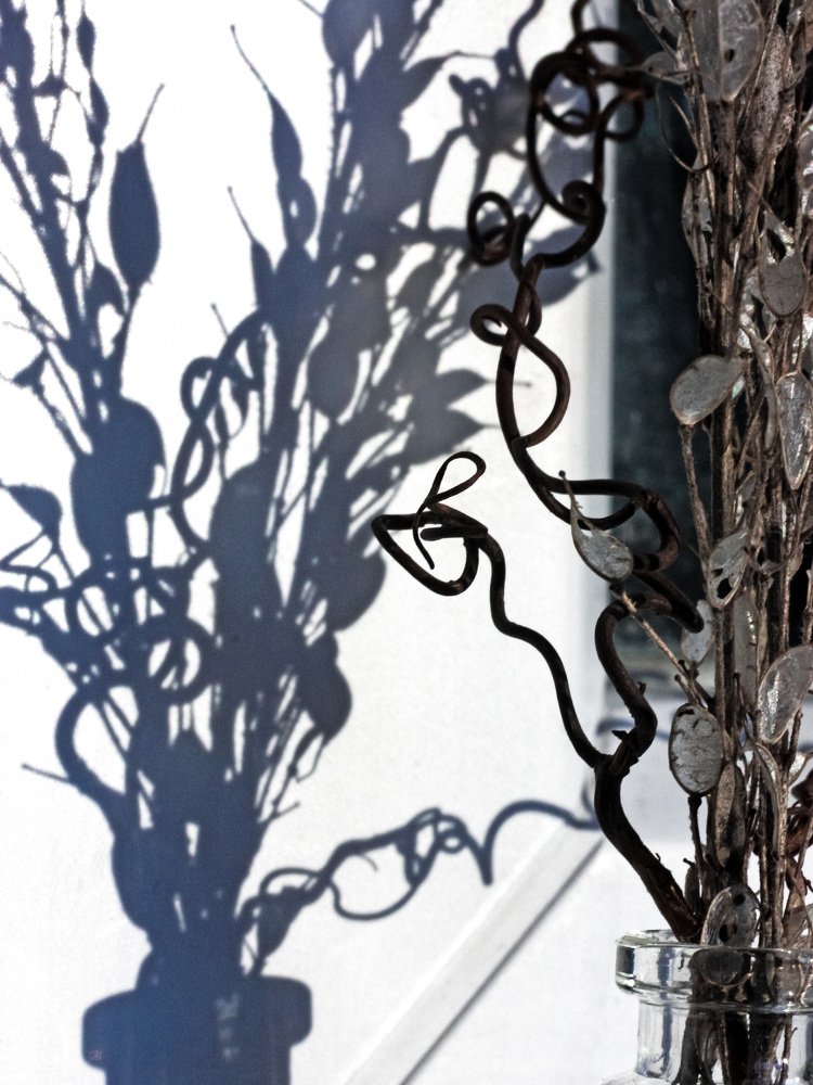 Photograph by людмила жукова