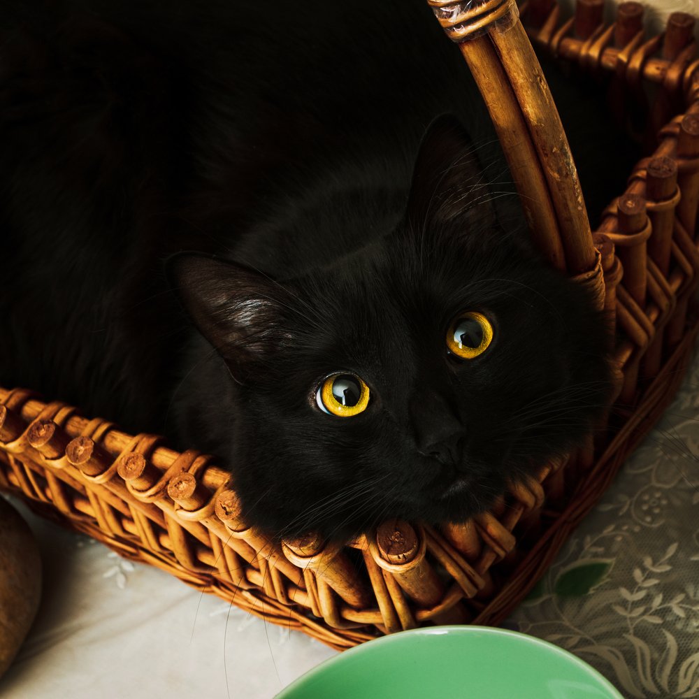 Фотография автора Андрей Серый