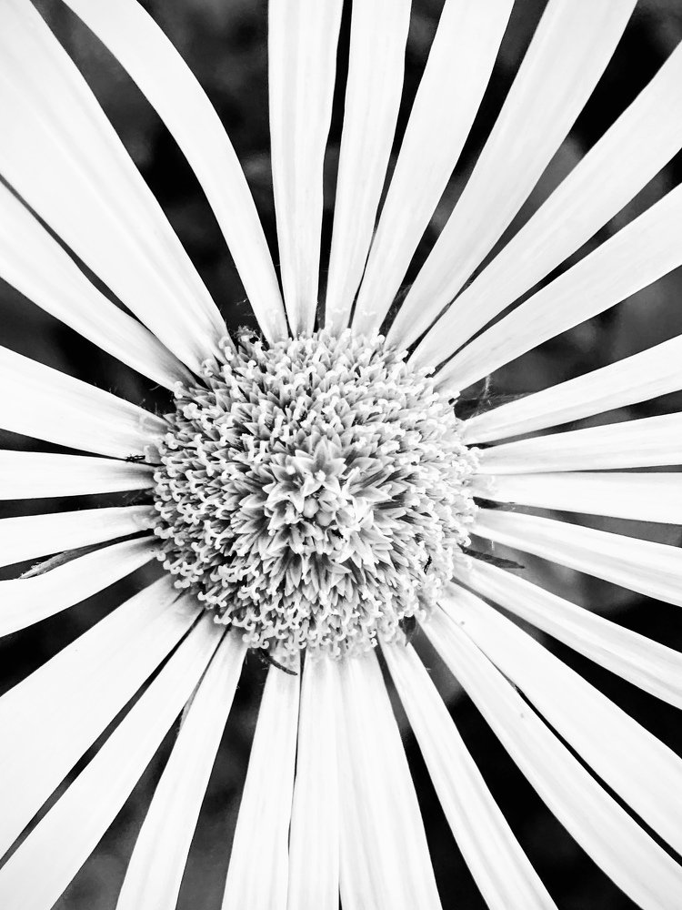 Photograph by Юлия Сушко