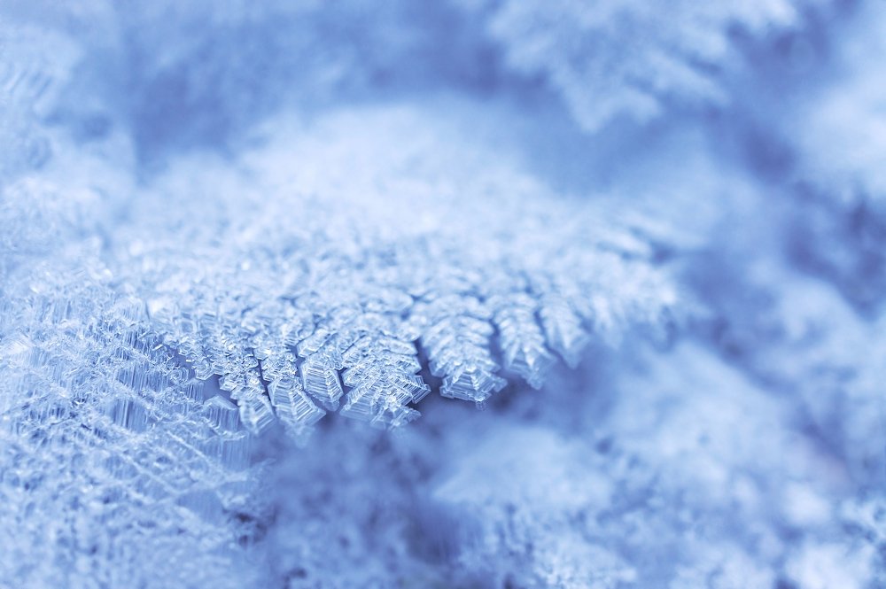 Снежные кристаллы