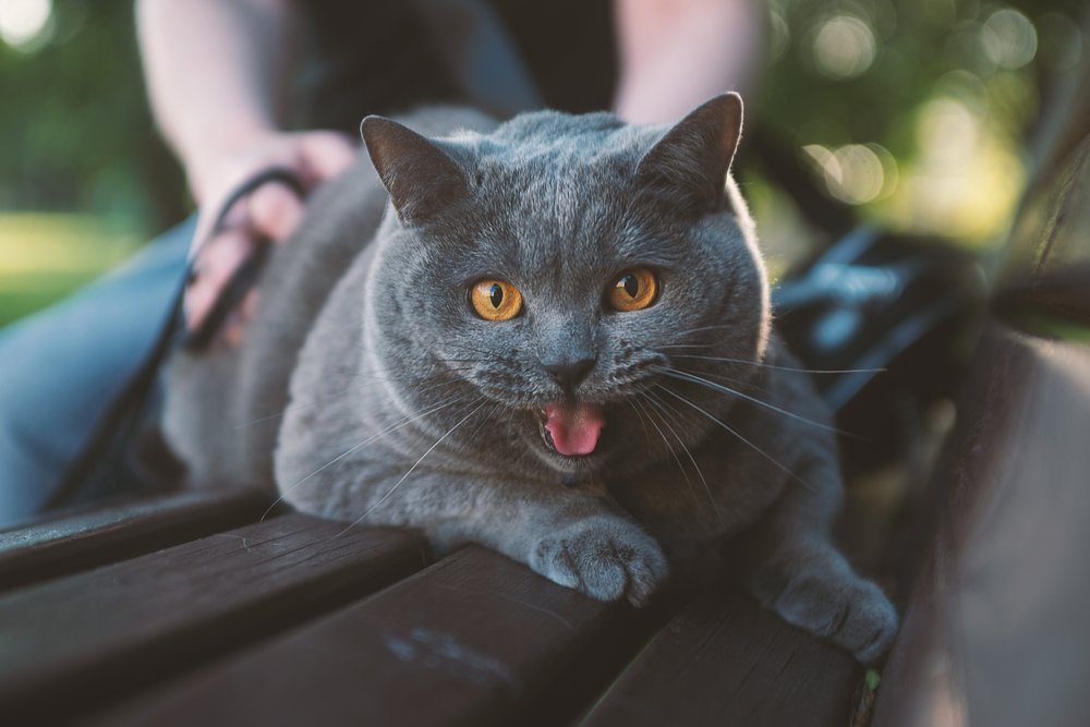 Photograph by Ирина Белоусова