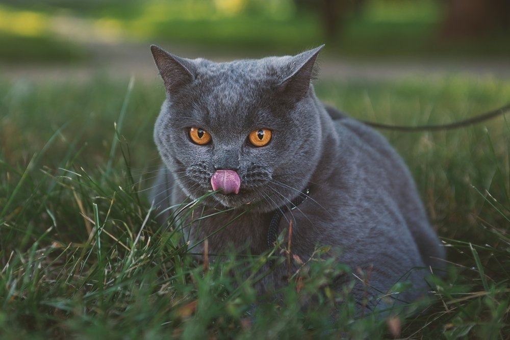 Photograph by Ирина Белоусова