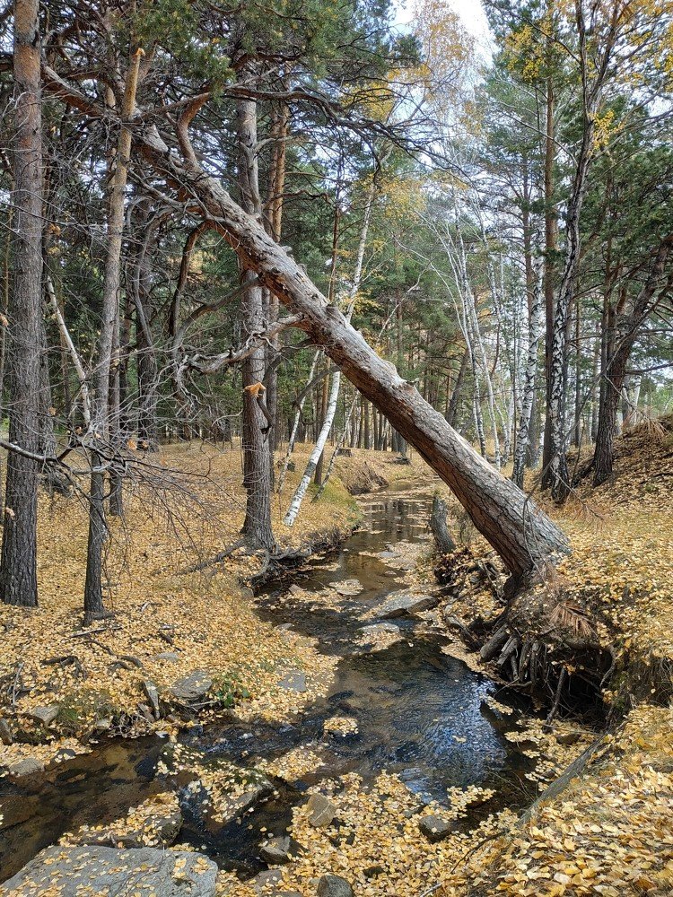 Photograph by Абылай Абдуллин