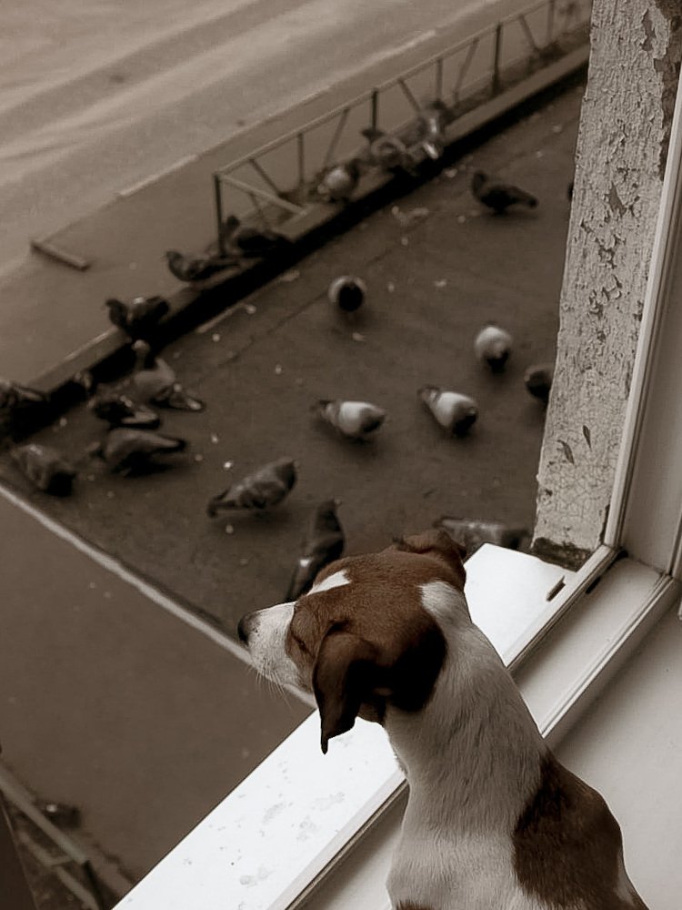 Photograph by людмила жукова