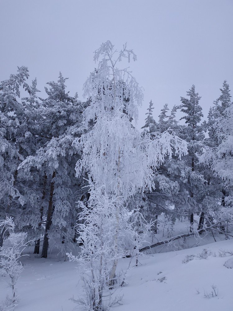 Photograph by Абылай Абдуллин
