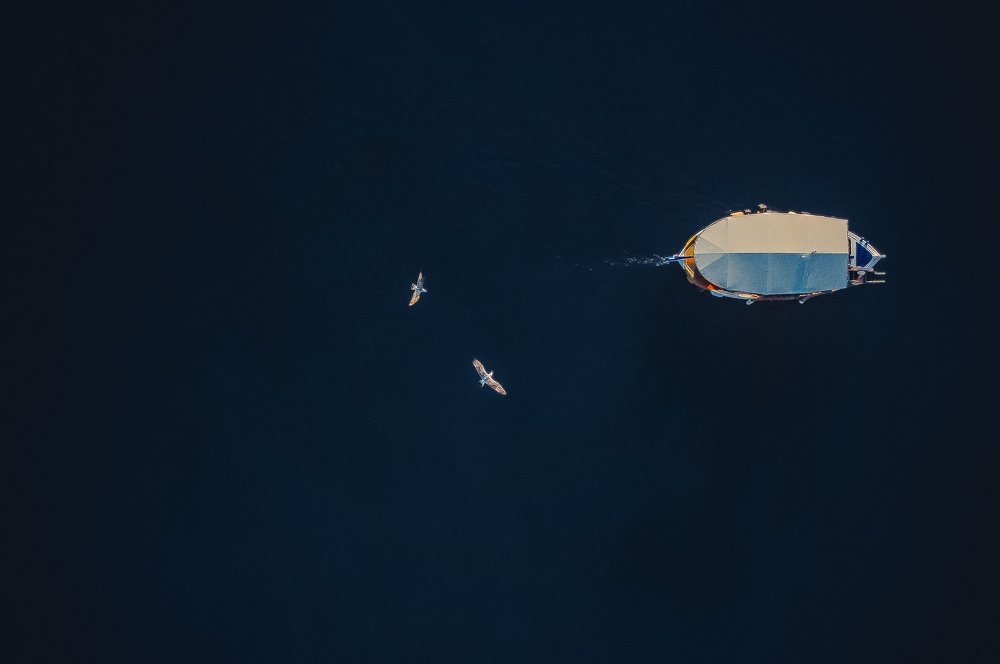 Photograph by constantino palivakis