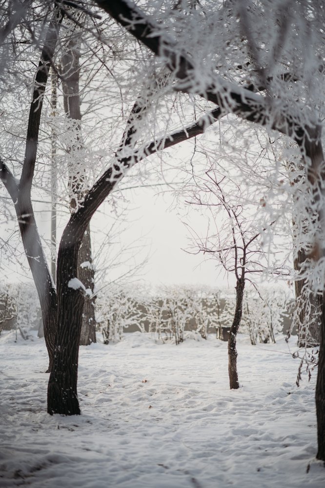 Photograph by Анна Белка