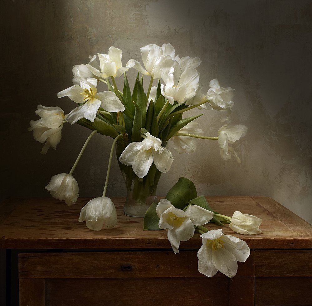 Photograph by Шипунова Ирина