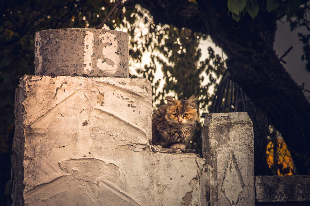 Photograph by Оксана Кийкова