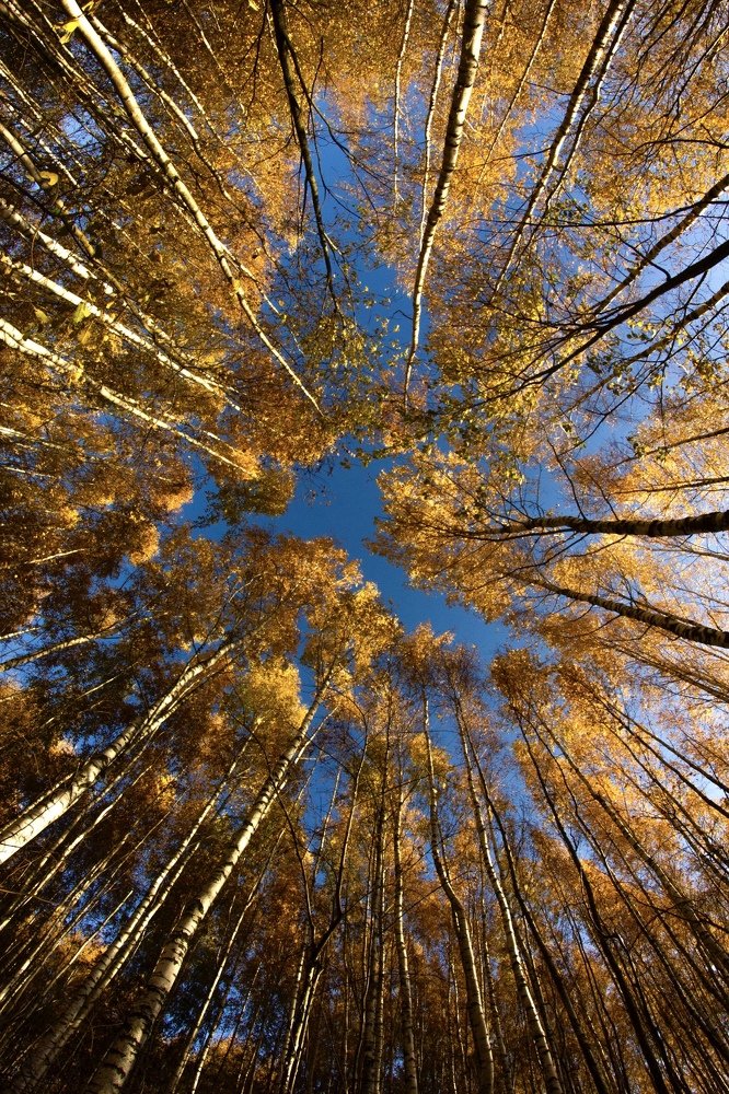 Фотография автора Зоя Малхова