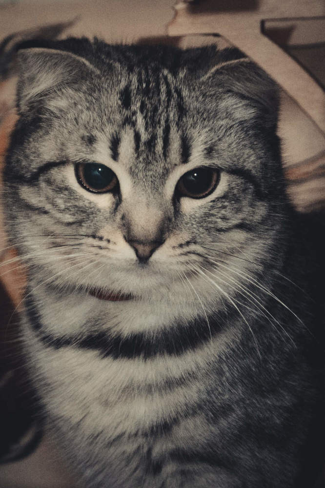 Photograph by Оксана Кийкова