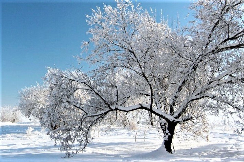 Photograph by Галина