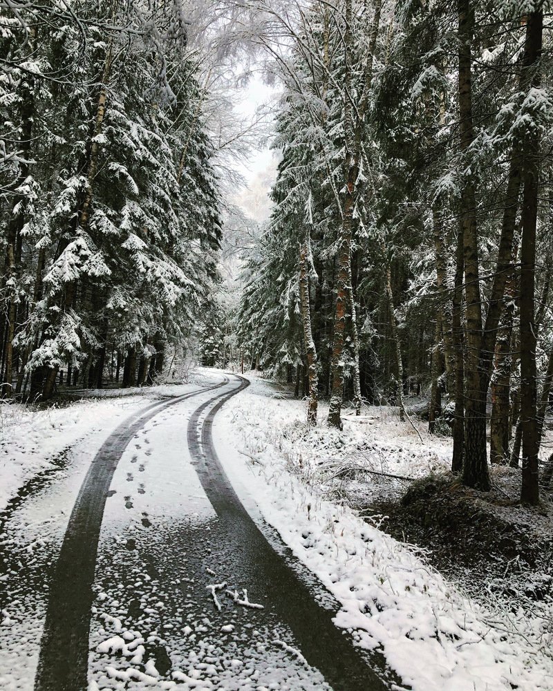 Фотография автора Зоя Малхова