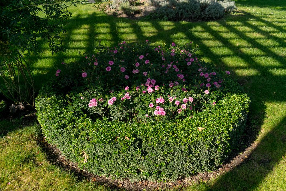 Photograph by Наталья Вялых