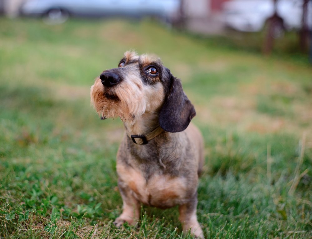 Photograph by Оксана Зверева