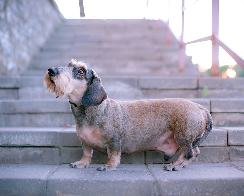 Photograph by Оксана Зверева