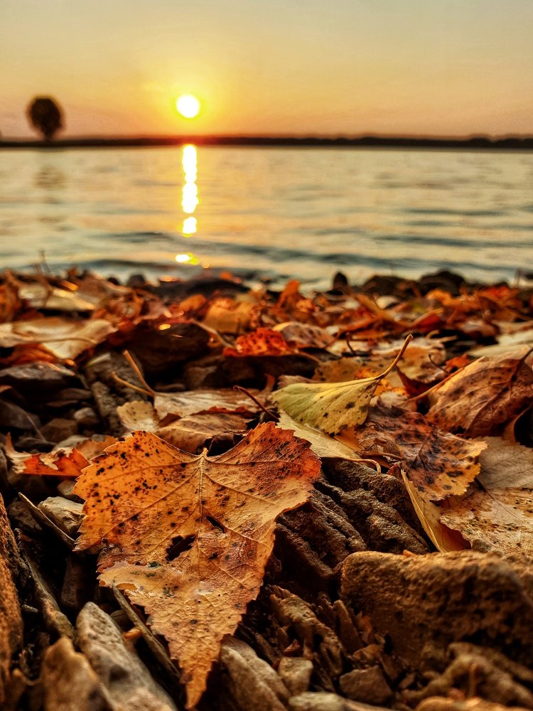 Photograph by Тарасова Олеся