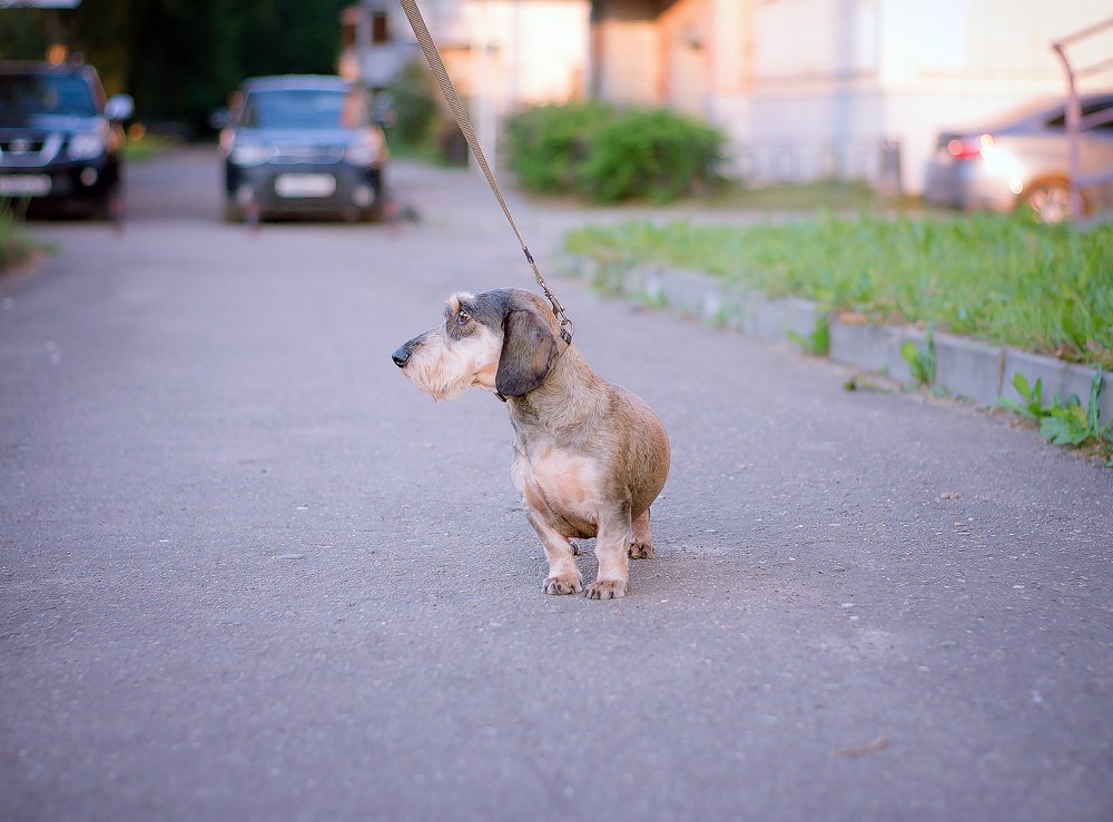 Photograph by Оксана Зверева