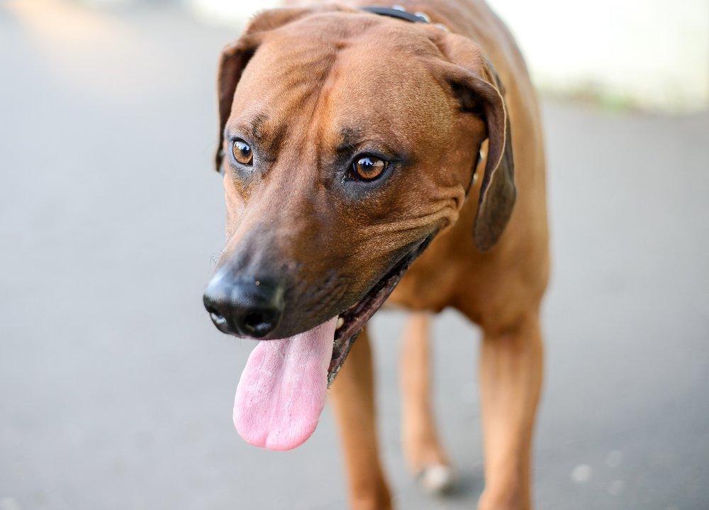 Photograph by Оксана Зверева