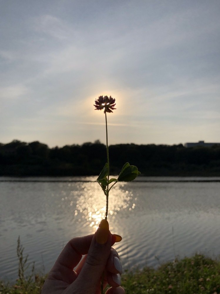 Photograph by Наталья Изотова