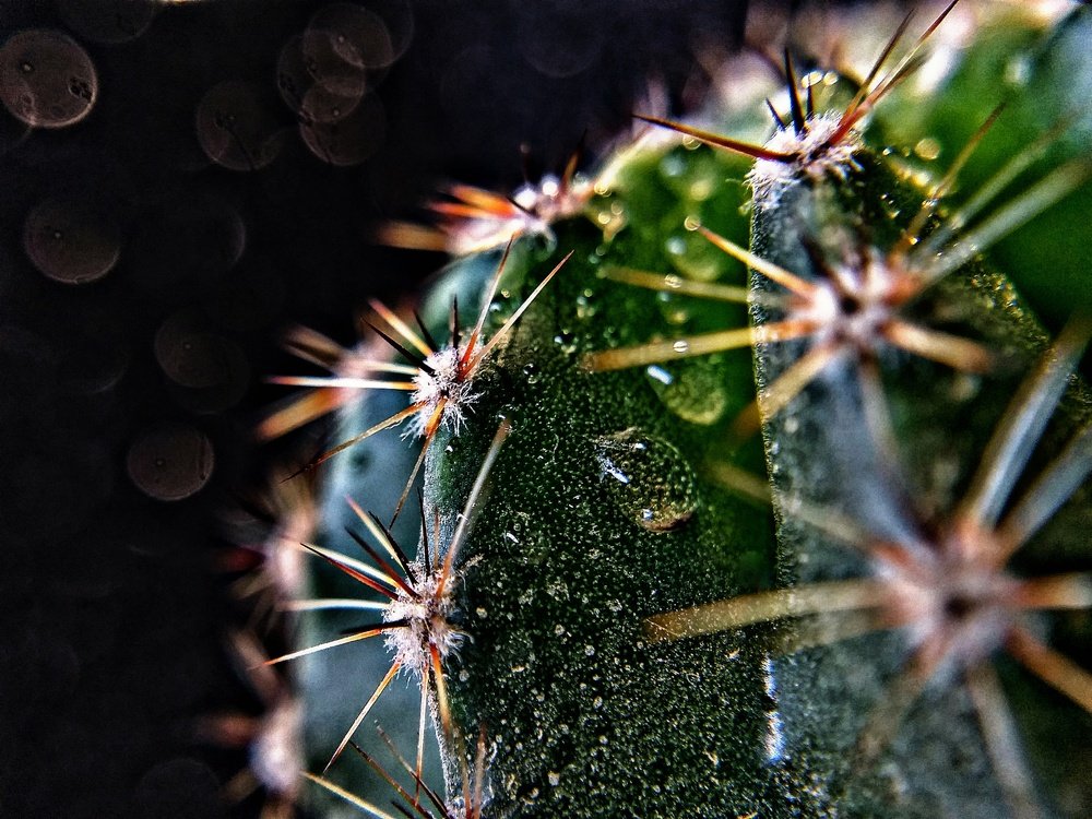 Photograph by Ольга Веселова