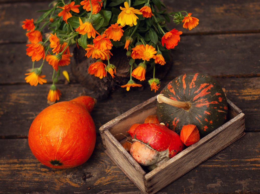 Photograph by Маликова Марина