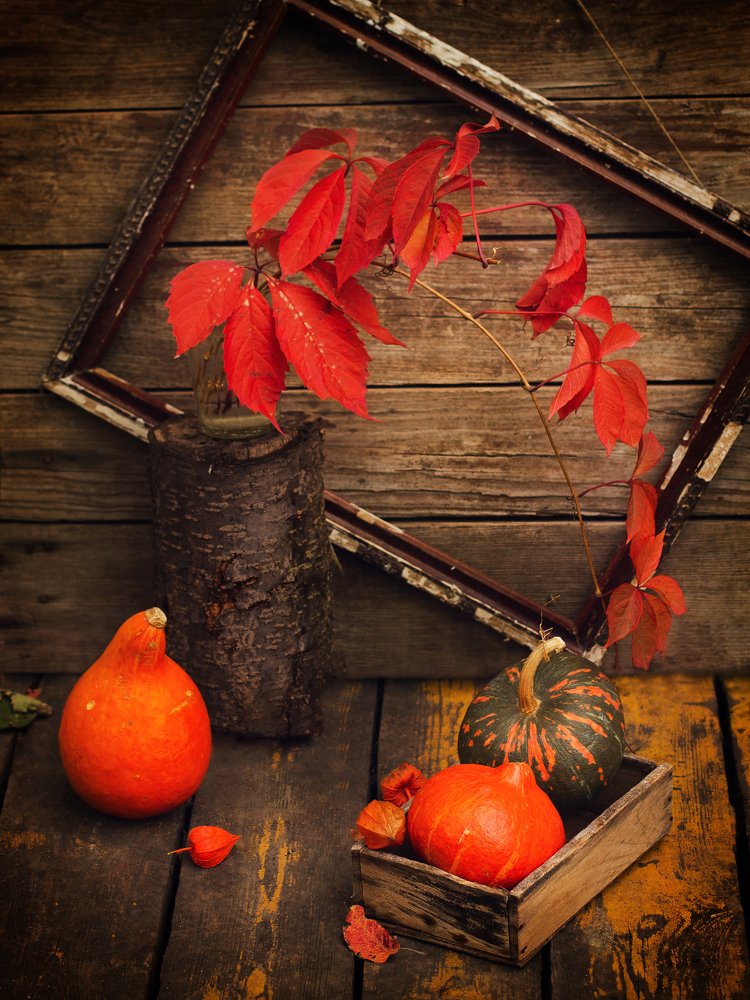 Photograph by Маликова Марина