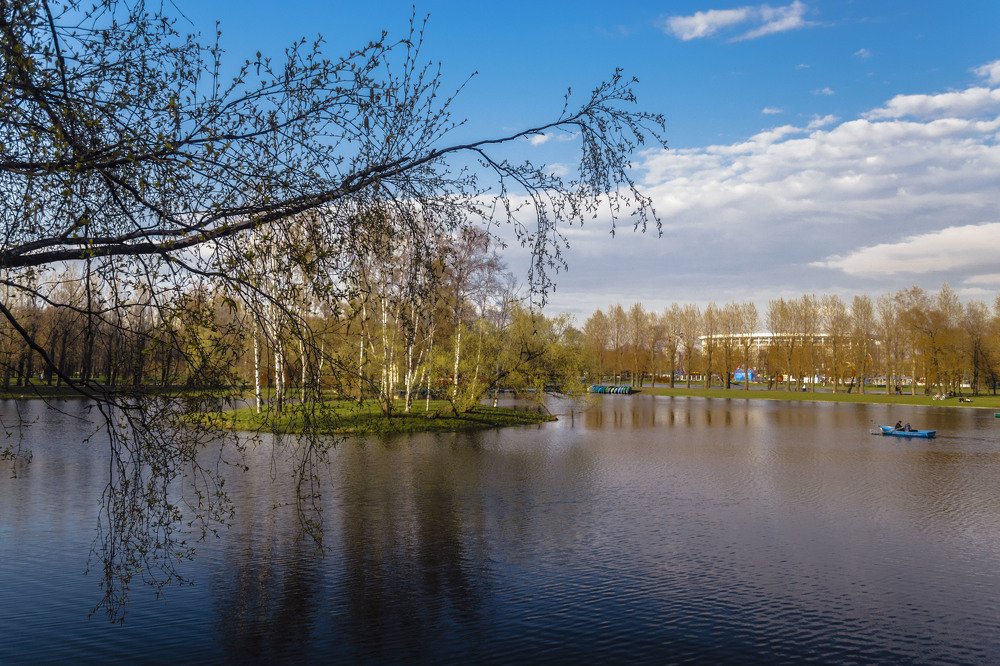 Осень в парке