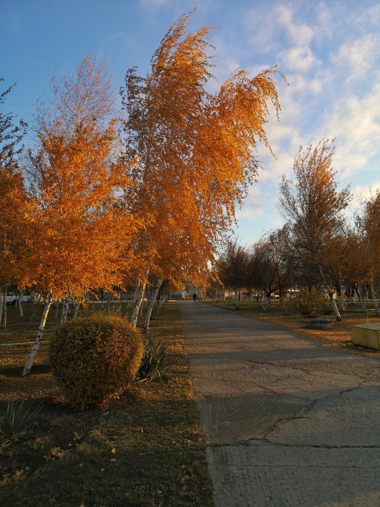 Фотография автора Людмила Богдан