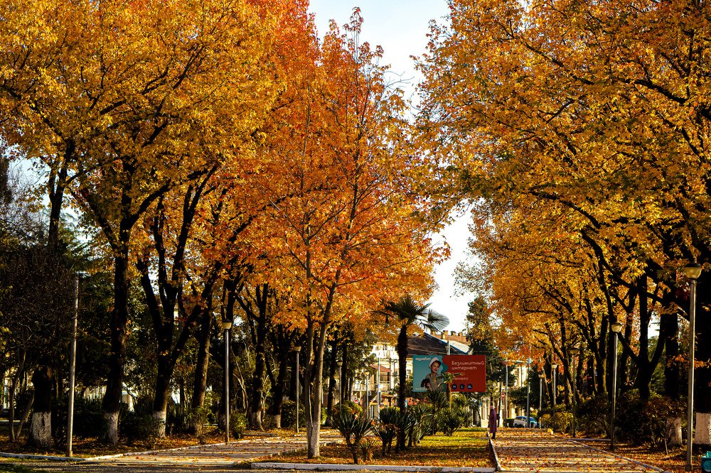 Photograph by Эльза Чанба