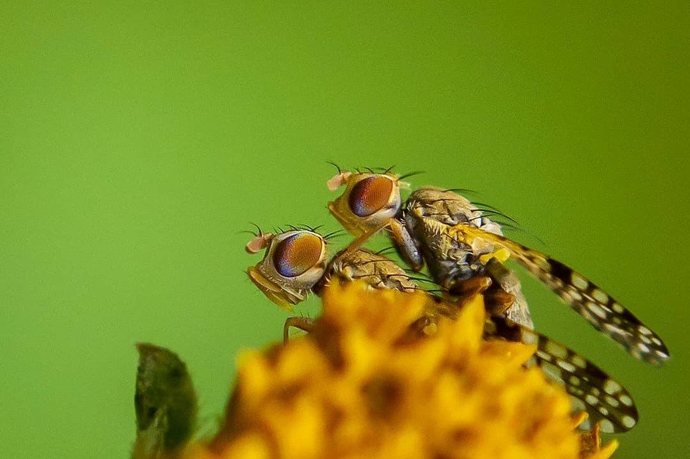 Photograph by FERNANDES FERMINIANO HENRIQUE