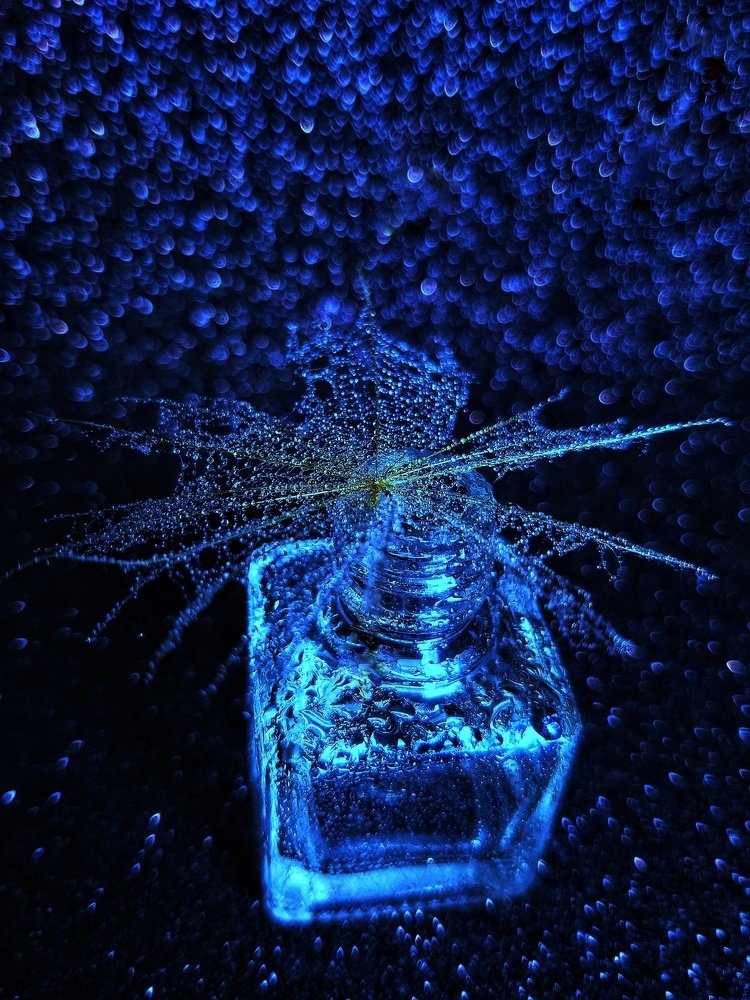 Photograph by Ольга Веселова