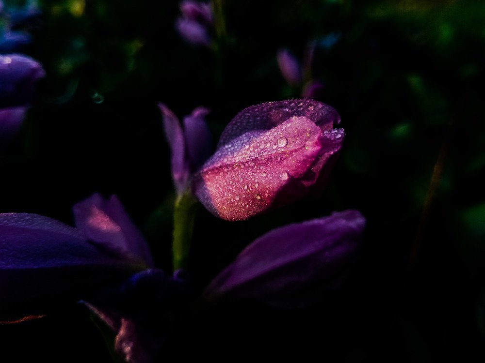 Photo #5339401