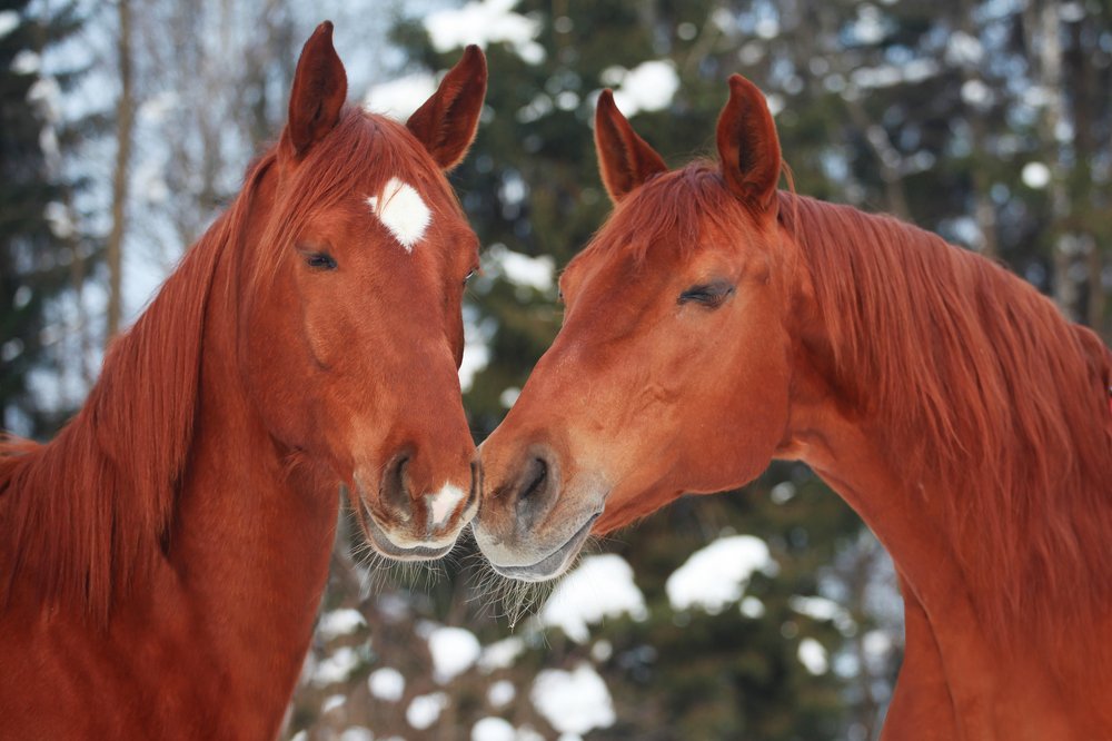 Photograph by Ирина Богатырева