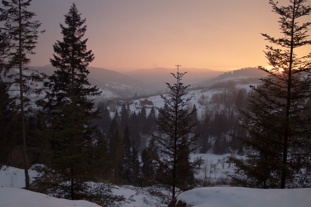 Photograph by Lyudmyla Yermakova