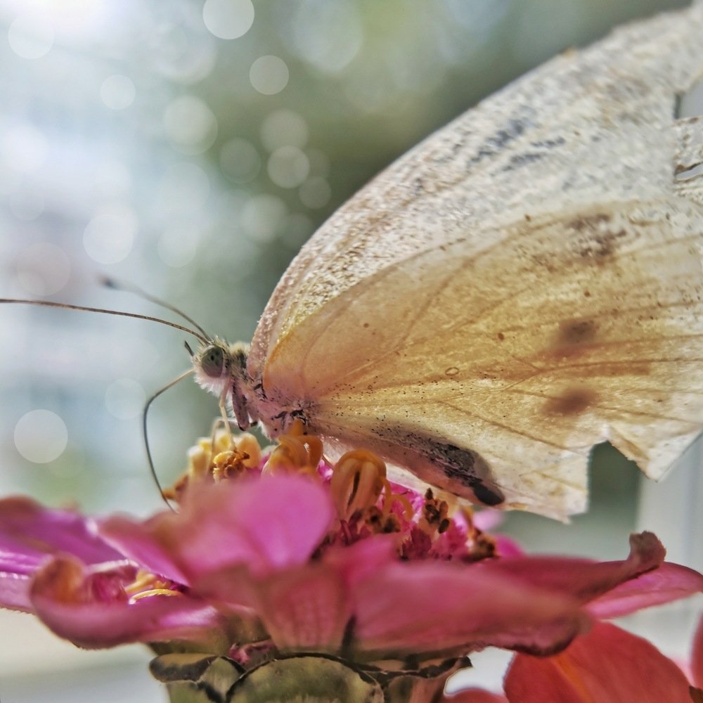 Photograph by Оксана Маракушина