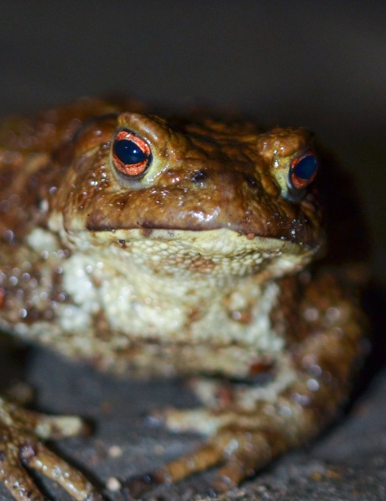 Photograph by Екатерина Кицмен