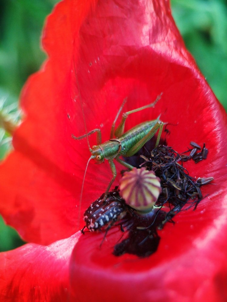 Фотография автора Людмила Богдан