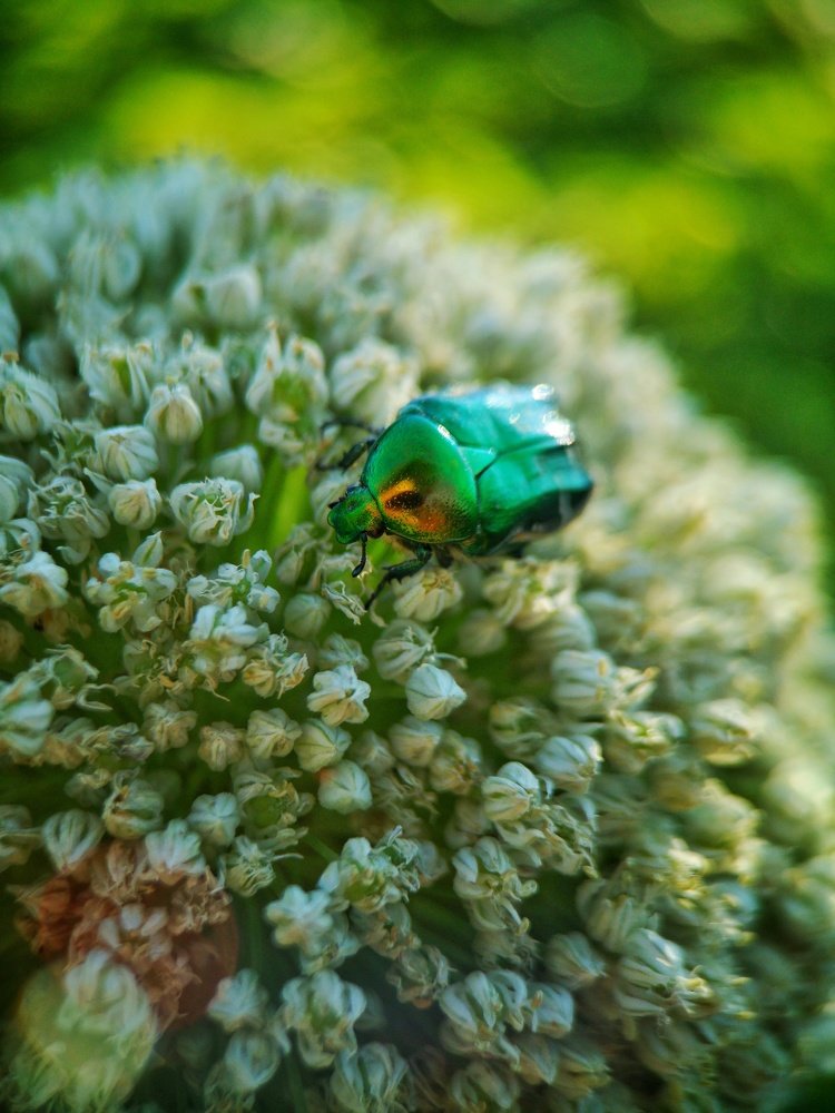 Фотография автора Людмила Богдан